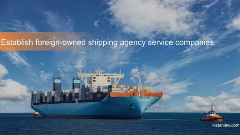 Establish foreign-owned shipping agency service companies in Vietnam