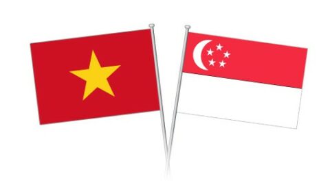 Establish Singaporean-owned company in Vietnam