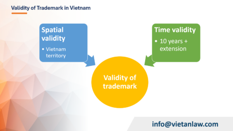 Late renewal of the trademark registration in Vietnam