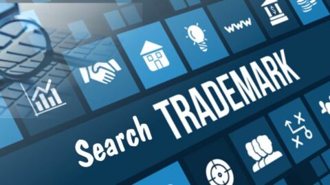 How do you do trademark search in Vietnam?