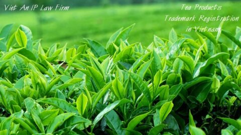 Tea Products Trademark Registration in Vietnam
