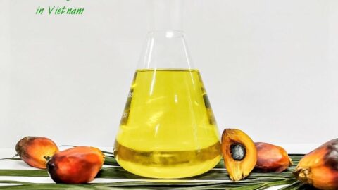 Vegetable oil Products Trademarks Registration in Vietnam
