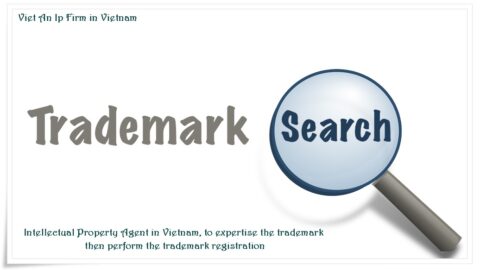 Trademark Look-up in Vietnam