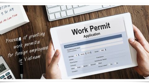 Process of granting work permits for foreign employees in VN