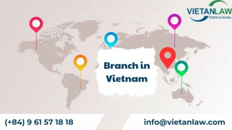 Establish a foreign bank branch in Vietnam