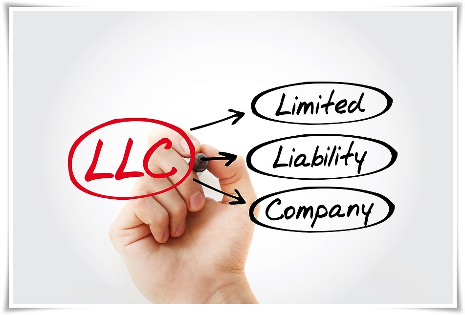 Set up a single-member limited liability company in Vietnam