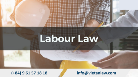 Review labor regulations service in Vietnam