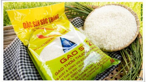 Rice Products Trademarks Registration in Vietnam