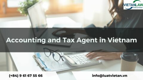 Tax finalization services for businesses in Vietnam