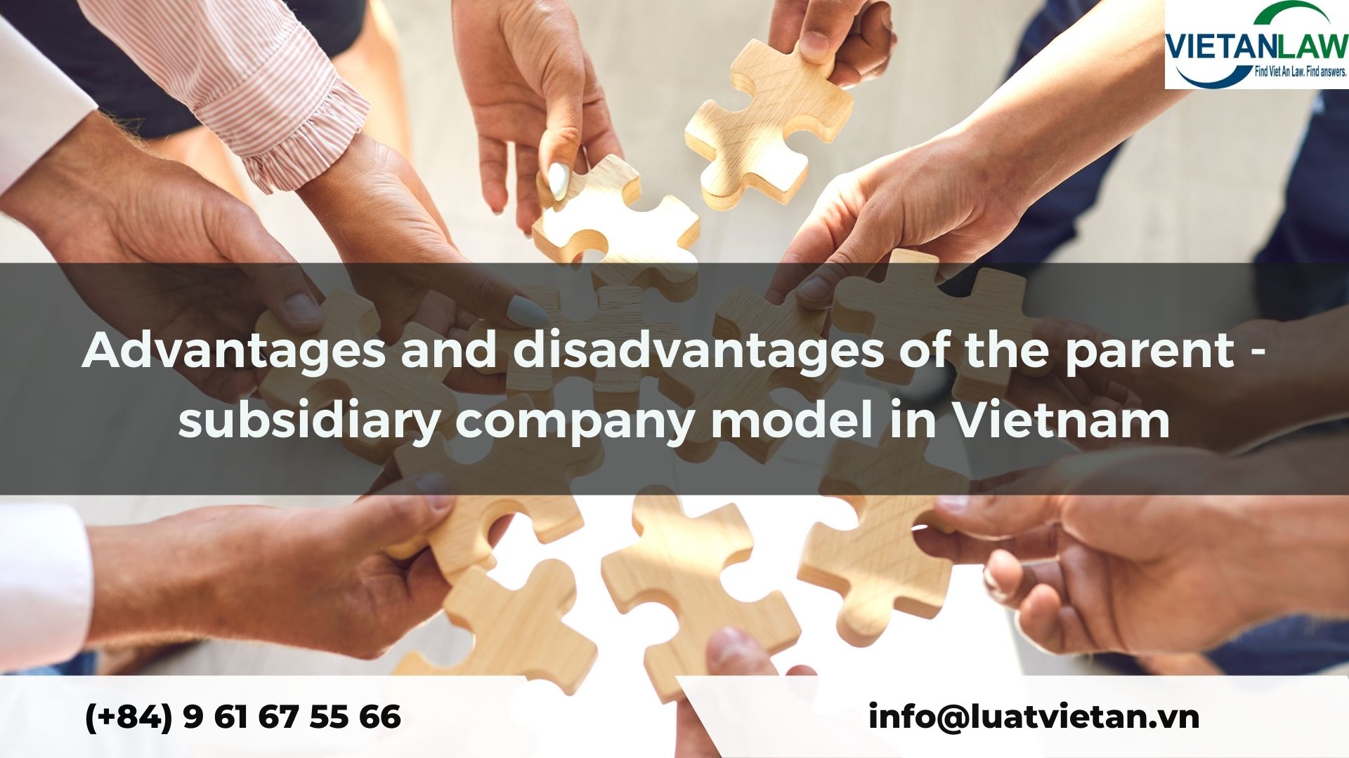 Advantages and disadvantages of the parent - subsidiary company model in Vietnam