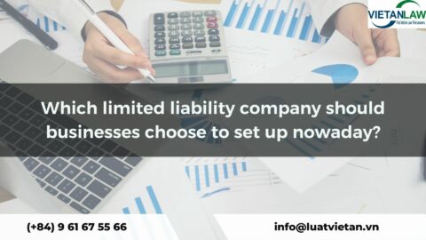 Which limited liability company should businesses choose to set up nowaday?