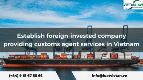Establish foreign-invested company providing customs agent services in Vietnam
