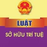 07/2022/QH15 - Vietnam Intellectual Property Law