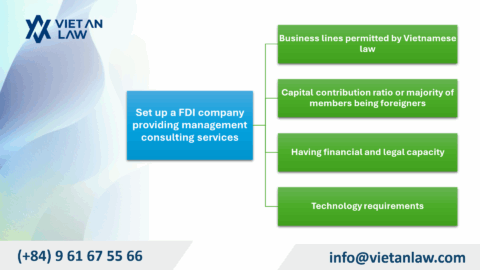 Set up a FDI company providing management consulting services