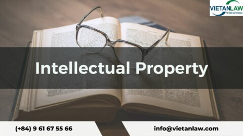 Circular 23/2023/TT-BKHCN guiding Vietnam Intellectual Property Law
