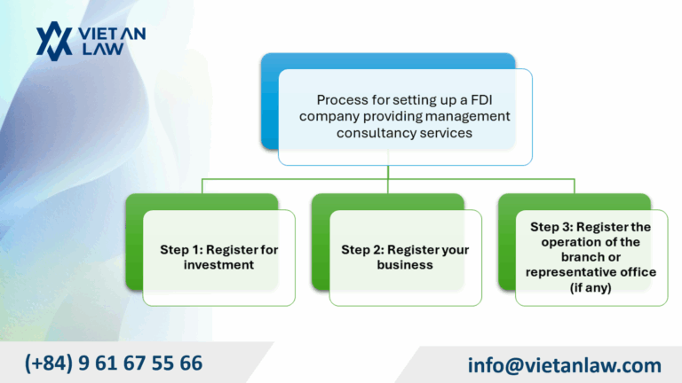 Process and procedures for setting up a FDI company providing management consultancy services