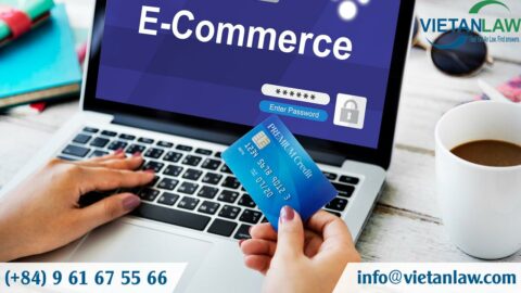 E-commerce activities of foreign investors in Vietnam