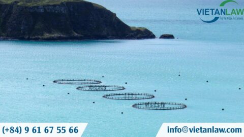 Set up a company in Vietnam with foreign investment in aquaculture