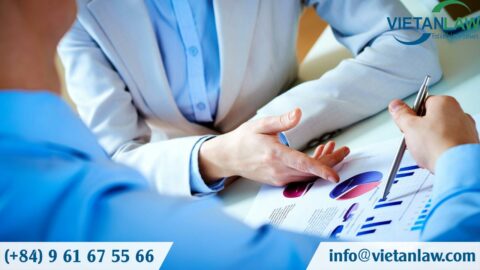 Establish a company in Vietnam providing management consulting services
