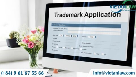 Trademark infringement inspection in Vietnam