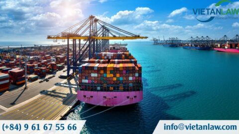 Set up a company in Vietnam engaged in sea transportation business