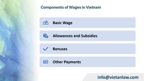 Guide to Calculate Salary Paid for Social Insurance in Vietnam