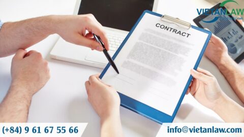 Contract review services in Vietnam