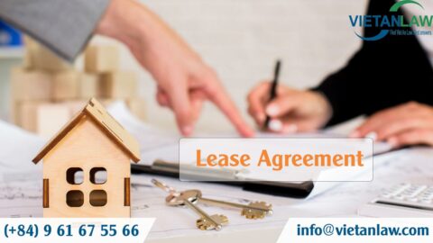Consulting on drafting the lease agreement