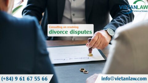 Consulting on resolving divorce disputes
