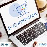 Set up a foreign capital company for e-commerce activities in Vietnam