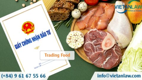 Set up a company in Vietnam trading food