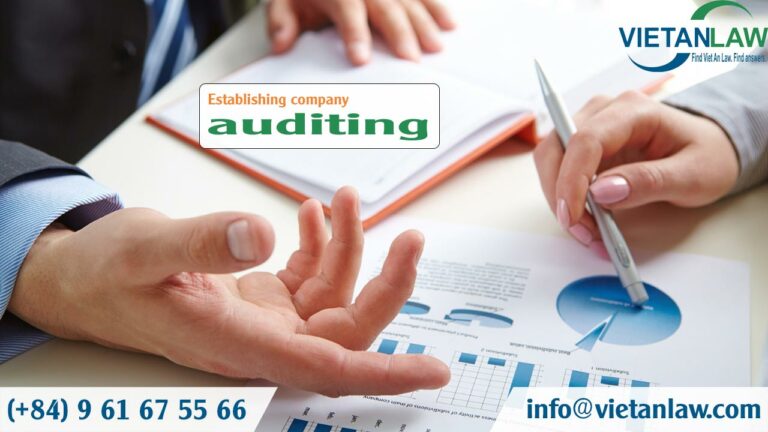 auditing company