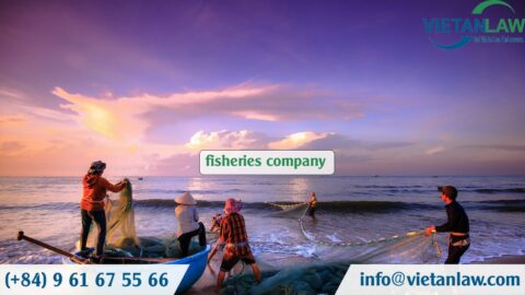 Conditions for establishing a fisheries company in Vietnam