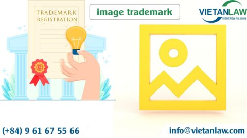 Classification of image trademark in Vietnam