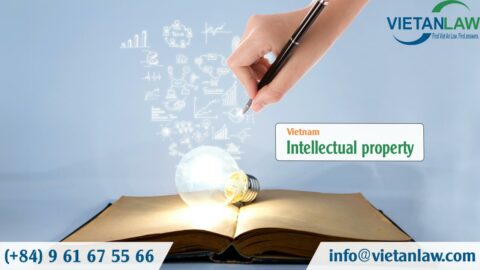 Decree 79/2023/ND-CP guiding the Intellectual Property Law on rights to plant varieties