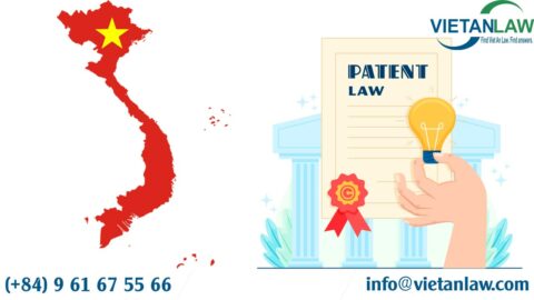 Patent assessment in Vietnam