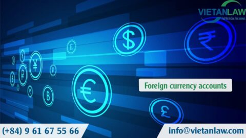 Granting licenses to open and use foreign currency accounts abroad