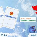 Set up a chemical business company in Vietnam