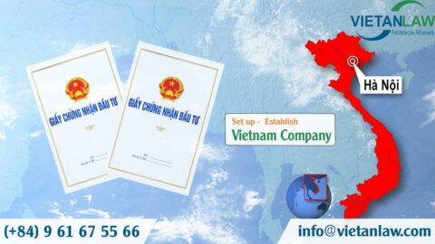Set up a company in Vietnam for translation service