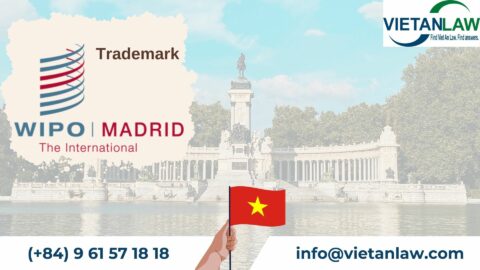 Processing Madrid trademark applications designating Vietnam