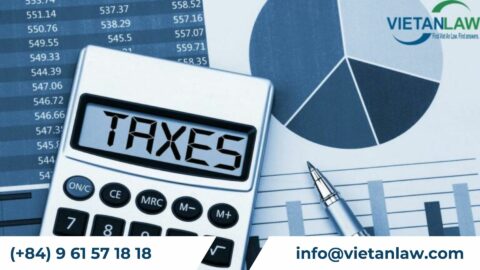 Types of the tax quarterly report in Vietnam