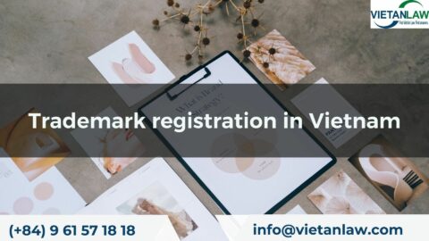 Eligible trademark registration application at Vietnam NOIP