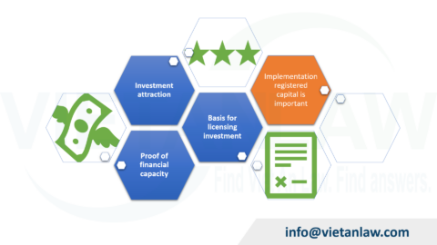 Capital registered for implementation of investment projects