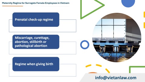 Maternity Regime for Surrogate Female Employees in Vietnam