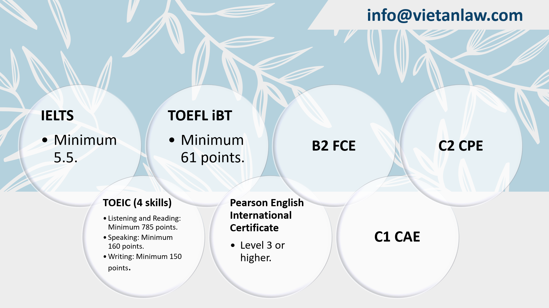 Foreign Language Guide Updated travel business conditions in Vietnam - Viet An Law