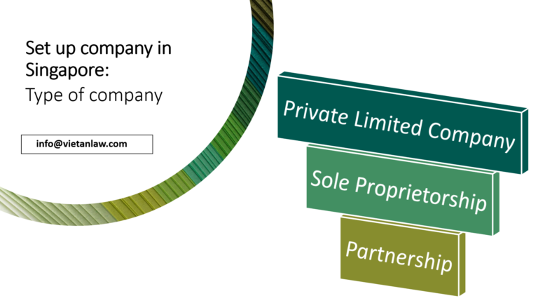 Set up company in Singapore : Type of company