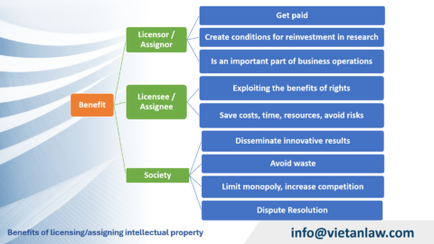 Licensing v. Assignment of Intellectual Property in Vietnam