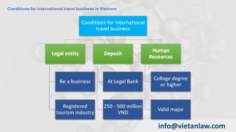 Establish an International Travel Company in Vietnam