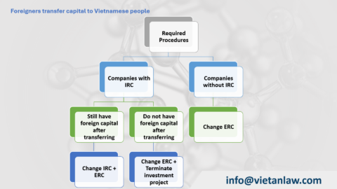 Foreigners transfer capital to Vietnamese people