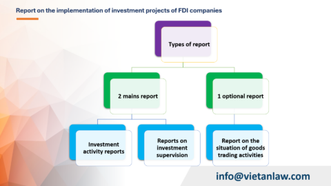 Report on the implementation of investment projects of FDI companies